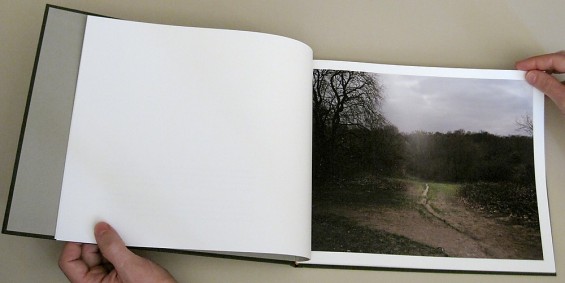 Andy Sewell, The Heath, 2011
