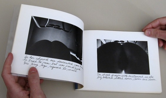 Duane Michals, Take one and see Mt. Fujiyama and other stories, 1976