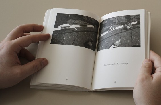 Luuk Wilmering, The man who never experienced anything, Roma Publications, 2010