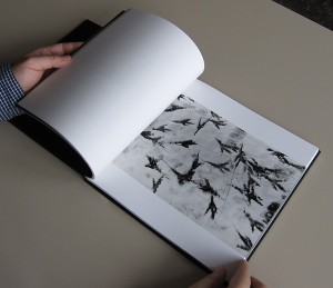 Masahisa Fukase, The solitude of ravens, 2008